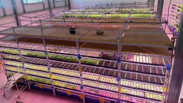 В Индустриальной зоне Алматы запущена вертикальная теплица по выращиванию микрозелени