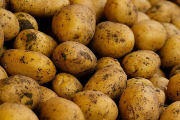 Цены на картофель: в Алматы ажиотажа и завышения стоимости не наблюдается