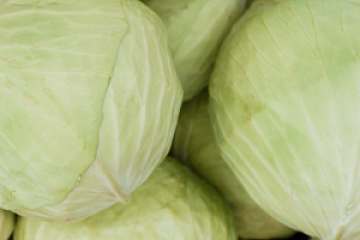 СПК Алматы законтрактовала объемы овощей для реализации в межсезонье по сниженным ценам